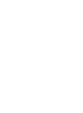 https://d1w8c6s6gmwlek.cloudfront.net/partyhardtees.com/overlays/177/560/17756075.png img