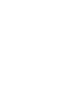 image overlay