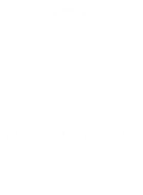 image overlay