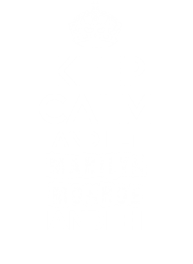 image overlay