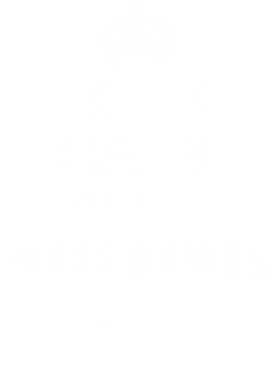 image overlay