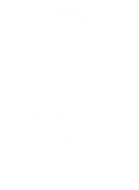 image overlay