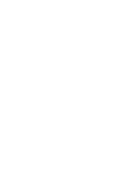 image overlay