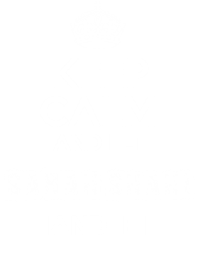 image overlay
