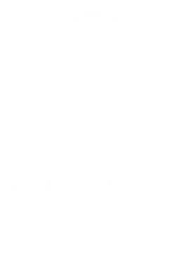 image overlay