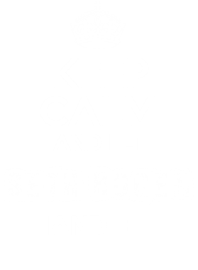 image overlay