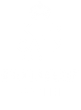 image overlay