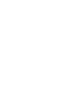 image overlay