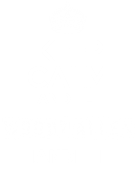 image overlay
