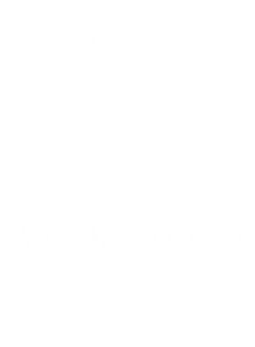 image overlay