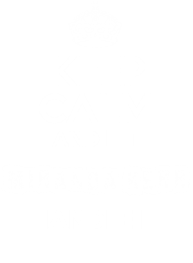 image overlay