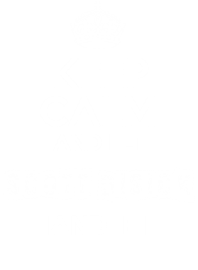 image overlay