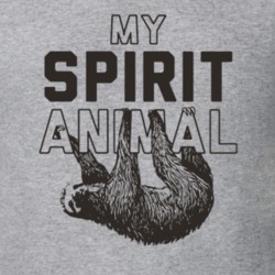 My Spirit Animal is A Sloth Funny Chill T Shirt 10843094