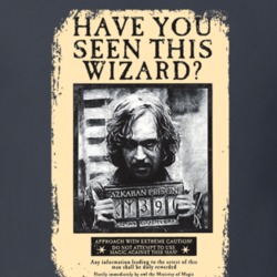 Have You Seen This Wizard Harry Potter Ben Affleck Wears T Shirt 14746451