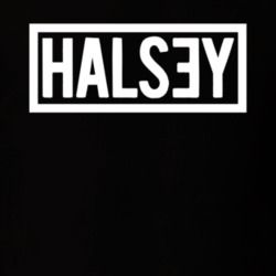 Music Singer Halsey Name Cool T Shirt 15014798