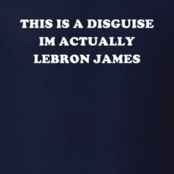 This Is A Disguise Im Actually Lebron James Celebrity T Shirt 17776200