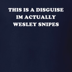 This Is A Disguise Im Actually Wesley Snipes Celebrity T Shirt 17776537