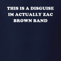 This Is A Disguise Im Actually Zac Brown Band Celebrity T Shirt 17776554