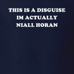 This Is A Disguise Im Actually Niall Horan Celebrity T Shirt 17776632