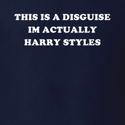 This Is A Disguise Im Actually Harry Styles Celebrity T Shirt 17776639