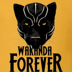 Wakanda Forever Black Panther Super Hero Fan T Shirt 33637551