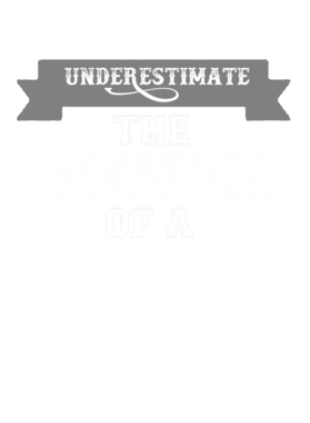 https://d1w8c6s6gmwlek.cloudfront.net/patriotictshop.com/overlays/962/380/9623800.png img