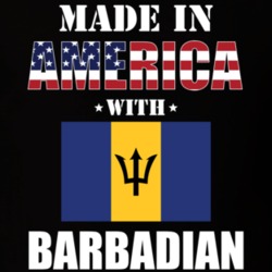 Made In America With Barbadian Parts Patriotic Nationality T Shirt 29332796