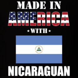 Made In America With Nicaraguan Parts Patriotic Nationality T Shirt 29394753
