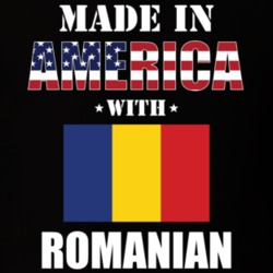Made In America With Romanian Parts Patriotic Nationality T Shirt 29395253