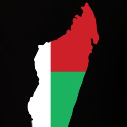 Madagascar Country Flag Silhouette Patriotic Nationality T Shirt 30171480