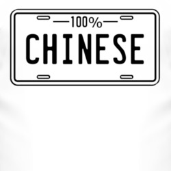 100 Percent Chinese License Plate T Shirt 4440824