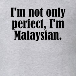 Not Only Perfect I'm Malaysian Funny Nationality T Shirt 4950751