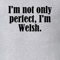 Not Only Perfect I'm Welsh Funny Nationality T Shirt 4951242