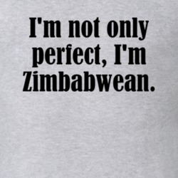 Not Only Perfect I'm Zimbabwean Funny Nationality T Shirt 4951268