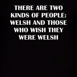 Welsh Patriotic Nationality Quote T Shirt 4971228