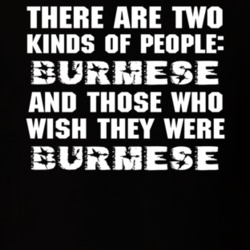 There Are Two Kinds Of People Funny Burmese T Shirt 6781902