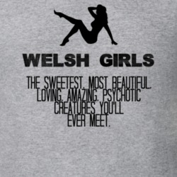 Welsh Girls Beautiful Creatures Essential Nationality T Shirt 6796418