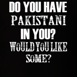 Do You Have Pakistani In You Funny Nationality T Shirt 7351862