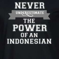 Never Underestimate An Indonesian Popular Nationality T Shirt 9623467
