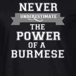 Never Underestimate A Burmese Popular Nationality T Shirt 9623496