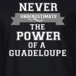 Never Underestimate A Guadeloupe Popular Nationality T Shirt 9623631