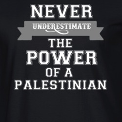 Never Underestimate A Palestinian Popular Nationality T Shirt 9623788