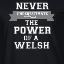Never Underestimate A Welsh Popular Nationality T Shirt 9623991
