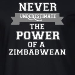 Never Underestimate A Zimbabwean Popular Nationality T Shirt 9624005