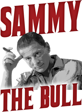 image overlay
