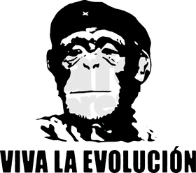 https://d1w8c6s6gmwlek.cloudfront.net/pumpedupshirts.com/overlays/403/500/40350032.png img