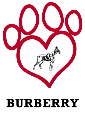 image overlay