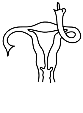 https://d1w8c6s6gmwlek.cloudfront.net/pumpedupshirts.com/overlays/403/513/40351374.png img