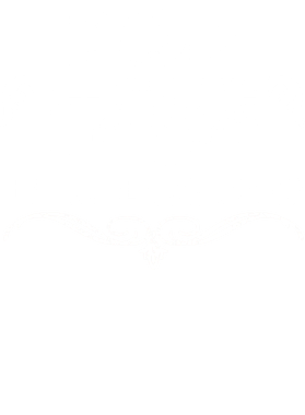 https://d1w8c6s6gmwlek.cloudfront.net/pumpedupshirts.com/overlays/403/521/40352161.png img