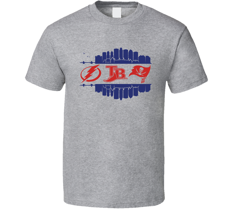 Tampa Bay City All Professional Sports Teams Super Fan Gray Unisex T Shirt Tampa Bay City All Professional Sports Teams Super Fan Gray Unisex T Shirt
